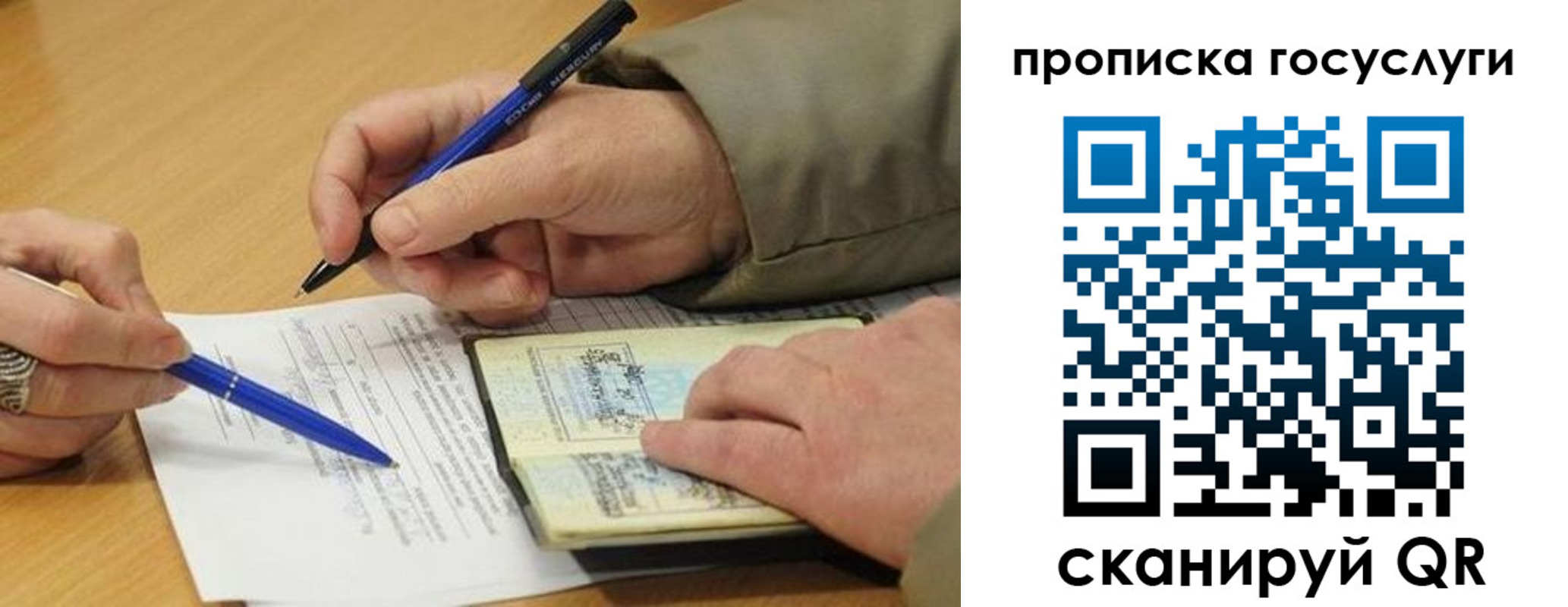 прописка законно в Кингисеппе
